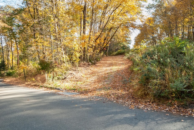 600 Berkshire Rd, Southbury, CT 06488 - photo 3