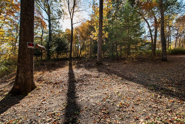 600 Berkshire Rd, Southbury, CT 06488 - photo 9