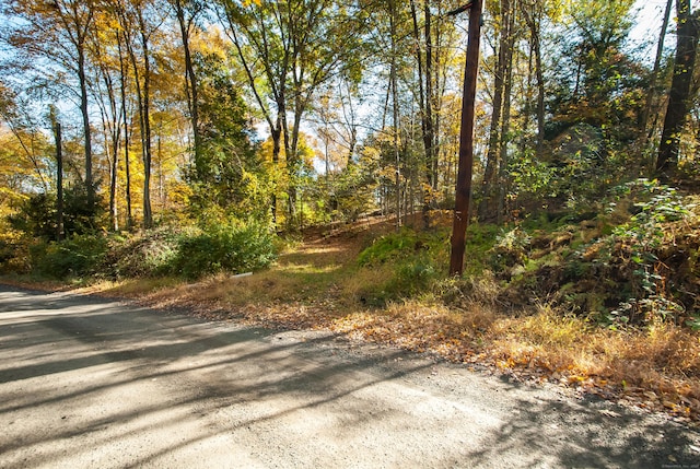 600 Berkshire Rd, Southbury, CT 06488 - photo 24