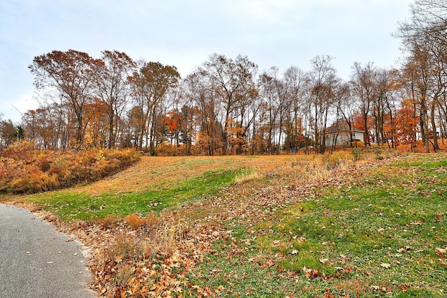 9 Ridgewood Club Rd, Prospect, CT 06712 - photo 5