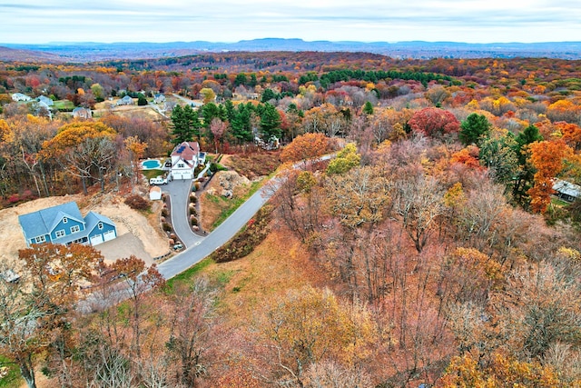 9 Ridgewood Club Rd, Prospect, CT 06712 - photo 7