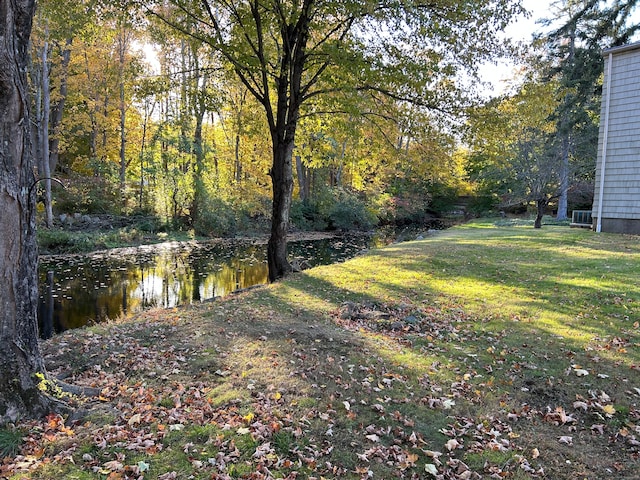 view of yard featuring a water view