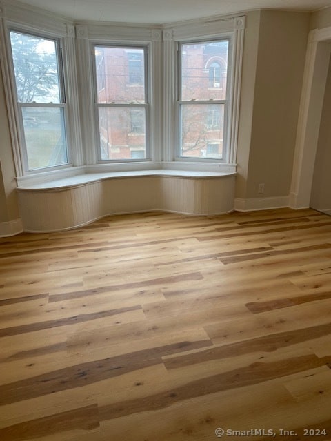 unfurnished room with light hardwood / wood-style flooring and plenty of natural light