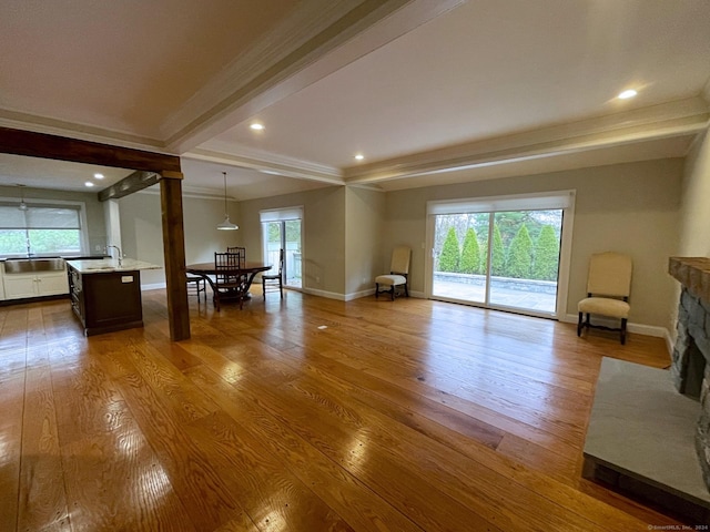 living room featuring ornamental molding, a healthy amount of sunlight, and wood-type flooring