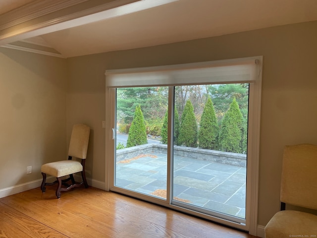 entryway with light hardwood / wood-style flooring and a healthy amount of sunlight