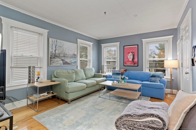 living room featuring crown molding and hardwood / wood-style flooring