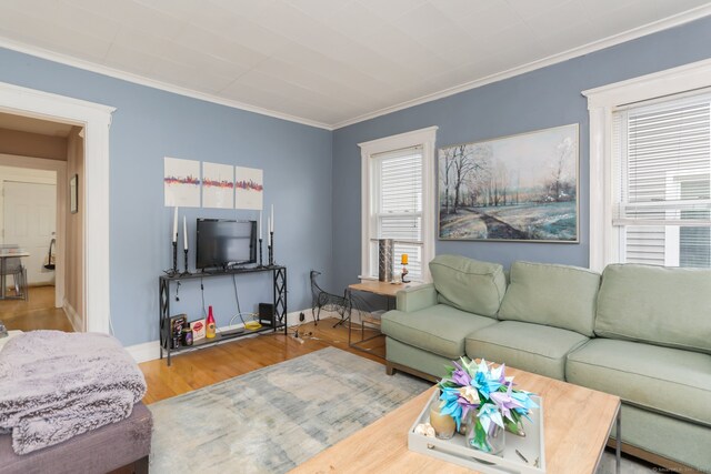 living room featuring crown molding and wood-type flooring