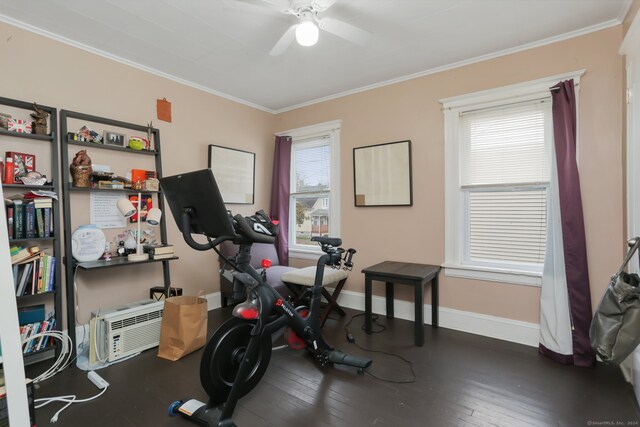 exercise room featuring ornamental molding, a healthy amount of sunlight, and dark hardwood / wood-style flooring