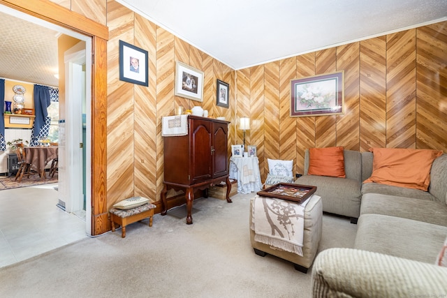 living area with carpet and wooden walls