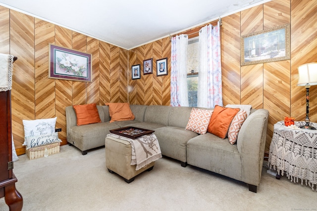 living area with carpet and wooden walls