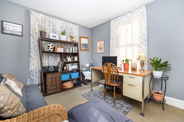 carpeted office with ornamental molding and baseboards