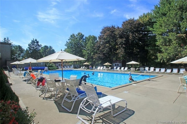 view of swimming pool featuring a patio