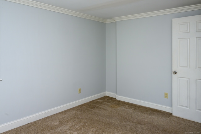 empty room featuring ornamental molding and carpet