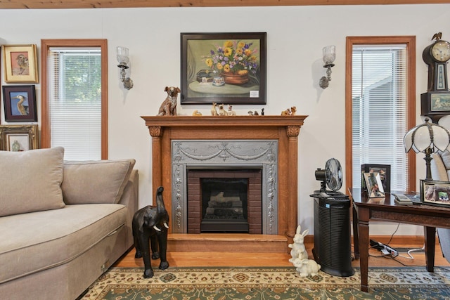 living area with a fireplace, baseboards, and wood finished floors