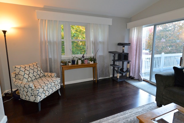 sitting room featuring lofted ceiling, a wealth of natural light, and dark hardwood / wood-style flooring