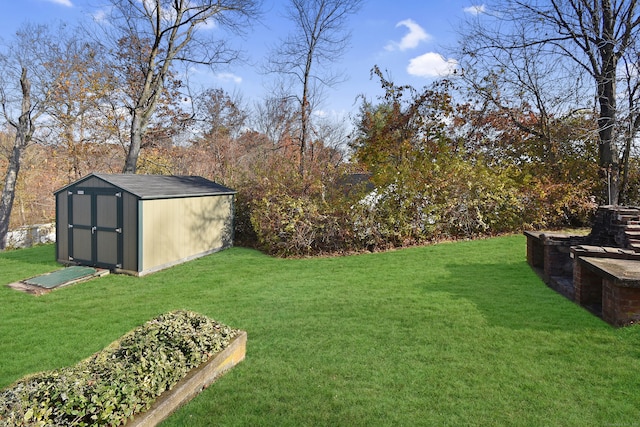 view of yard featuring a storage unit