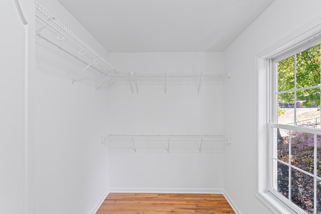 spacious closet featuring wood-type flooring