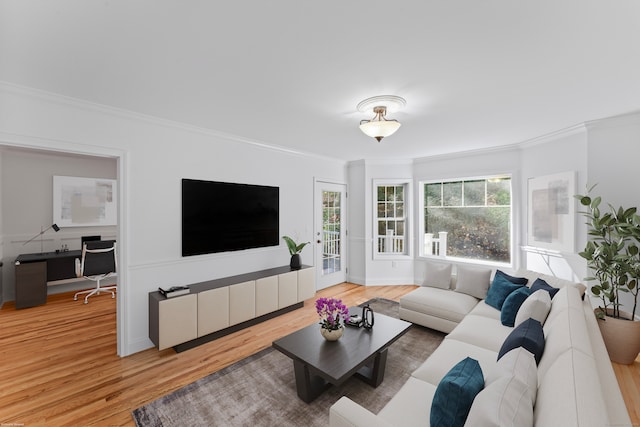 living room featuring hardwood / wood-style flooring and crown molding