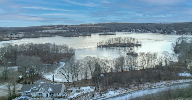 property view of water