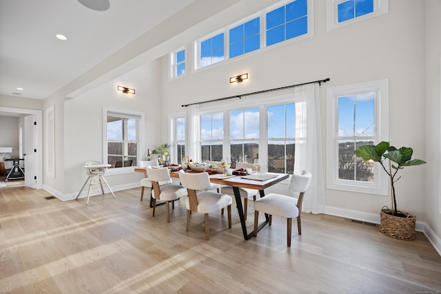 dining room with light hardwood / wood-style flooring