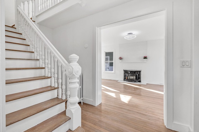 stairway featuring wood-type flooring