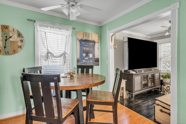 dining room with ceiling fan, ornamental molding, and dark hardwood / wood-style flooring