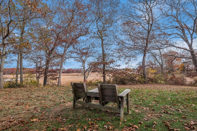 13 Longview Ter Unit 13, Madison, CT 06443 - view of yard