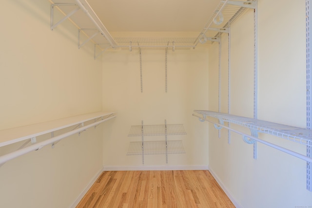 spacious closet with wood-type flooring