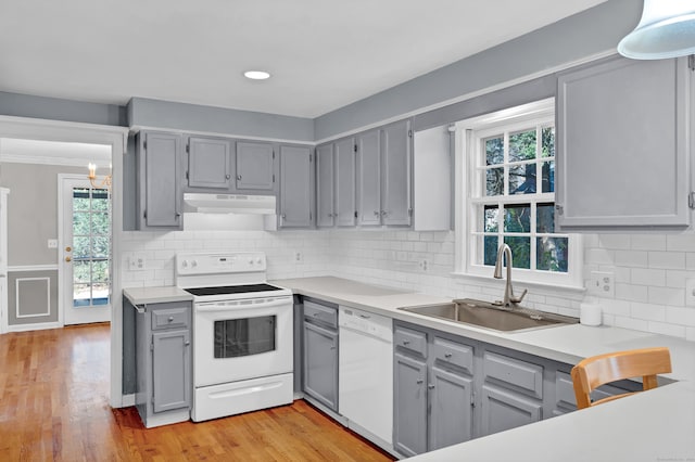 kitchen with light hardwood / wood-style floors, a healthy amount of sunlight, sink, and white appliances