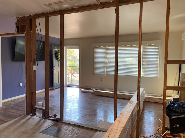 interior space with dark hardwood / wood-style flooring