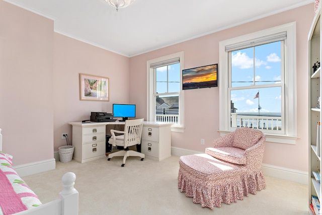 carpeted office with ornamental molding