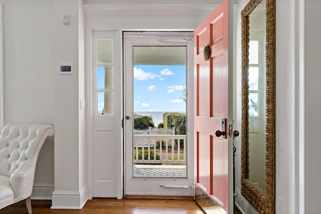 doorway to outside featuring light hardwood / wood-style flooring