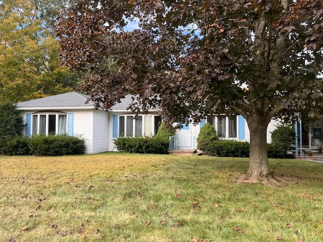 view of property hidden behind natural elements featuring a front lawn