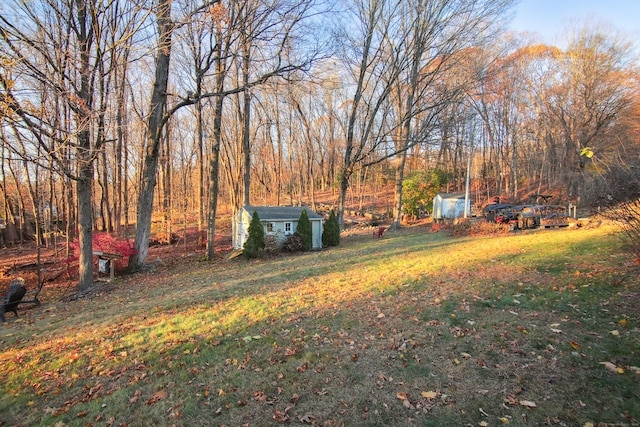 view of yard with a shed