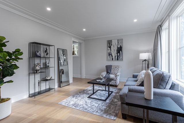 living room featuring ornamental molding and light hardwood / wood-style flooring