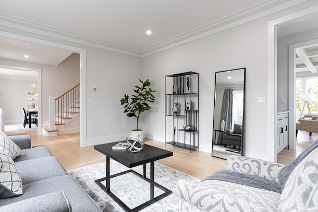 living room featuring ornamental molding and light hardwood / wood-style flooring