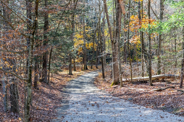 51 Wykeham Rd, Washington, CT 06793 - view of road with a view of trees