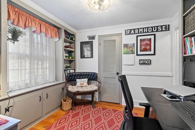 office with hardwood / wood-style flooring and crown molding