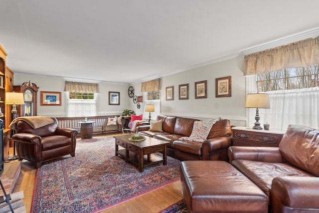 living room featuring hardwood / wood-style floors and ornamental molding