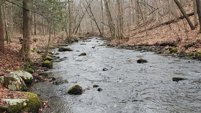 view of nature