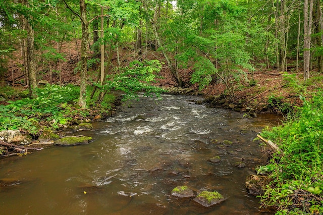 view of nature