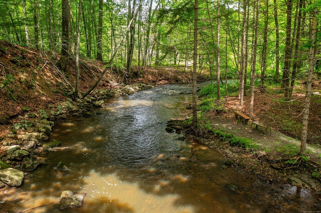 view of local wilderness