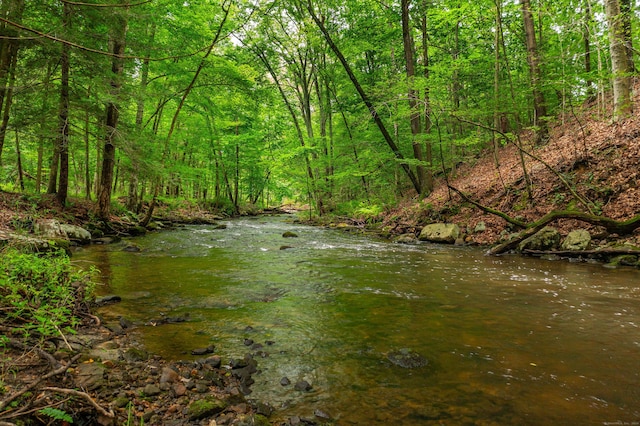 view of local wilderness