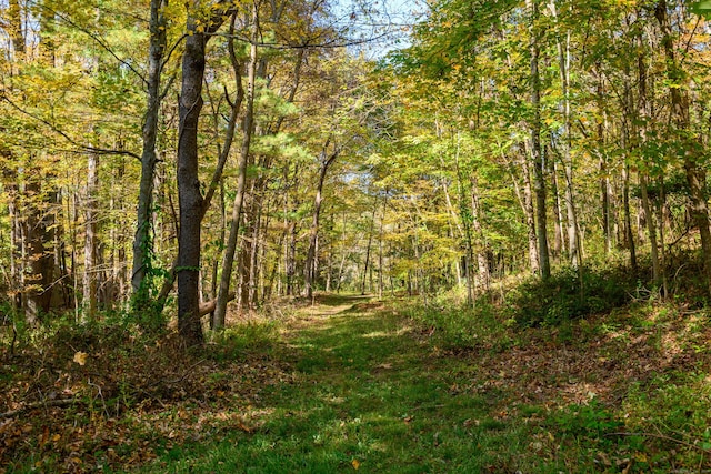 view of nature