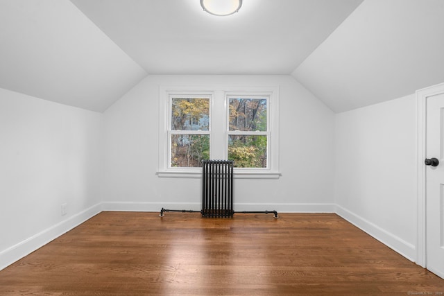 bonus room featuring lofted ceiling and wood-type flooring