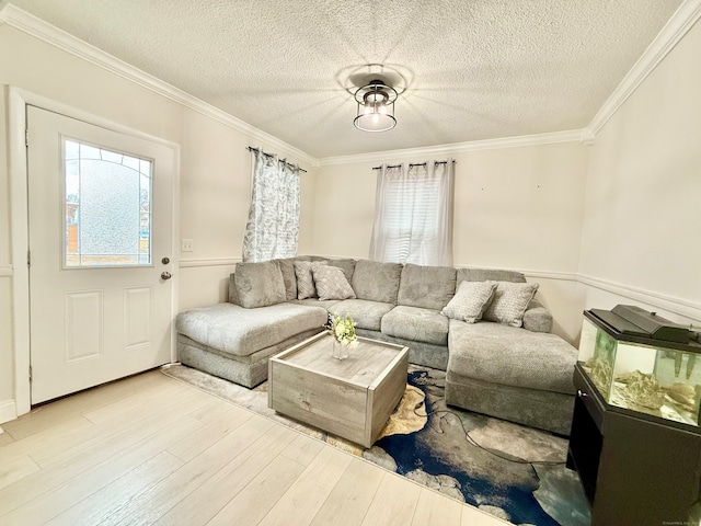 living room with a textured ceiling, light hardwood / wood-style floors, and ornamental molding