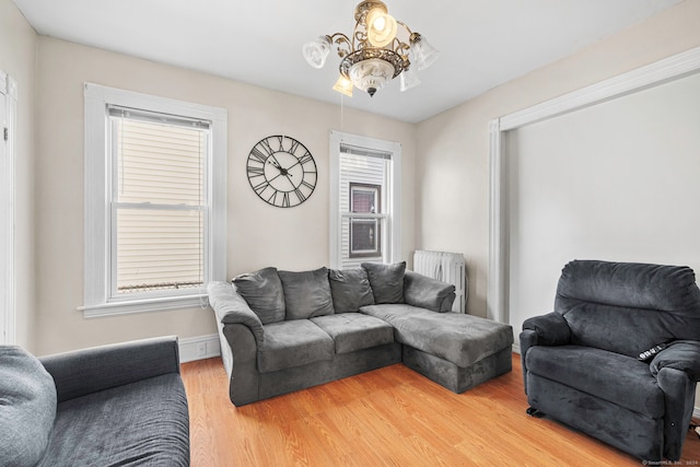 living room with radiator heating unit and hardwood / wood-style flooring