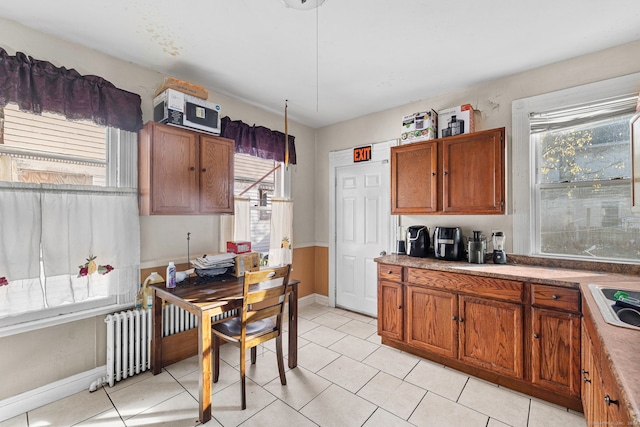 kitchen with radiator and sink