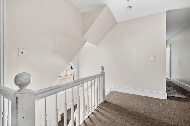 stairs with carpet floors