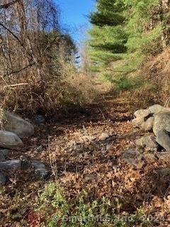 11 Cheney Rd, Pomfret, CT 06259